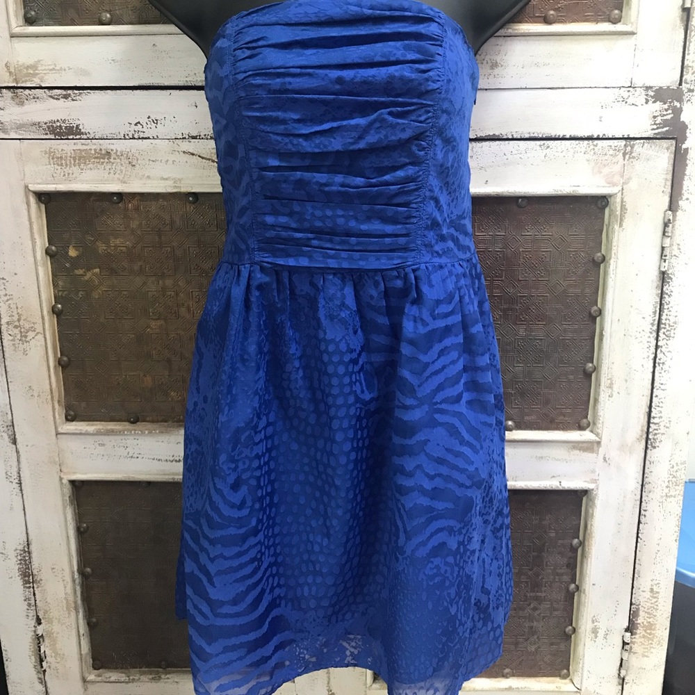 Express French blue sundress